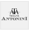 Tenuta Antonini