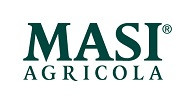 Masi 